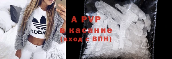 стаф Осташков