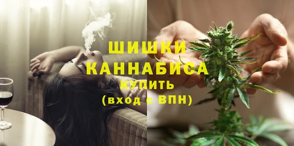 стаф Осташков