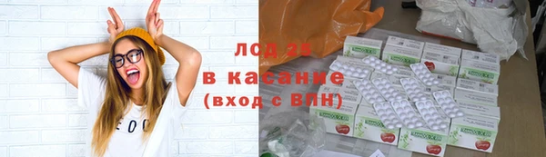 ПСИЛОЦИБИНОВЫЕ ГРИБЫ Остров
