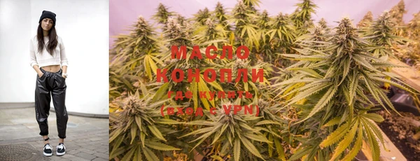 мяу мяу кристалл Няндома