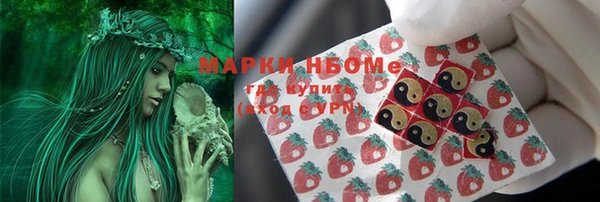стаф Осташков
