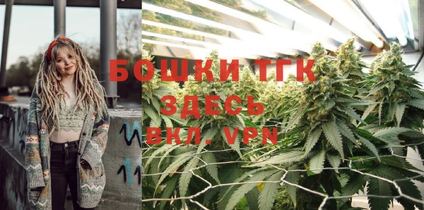 стаф Осташков
