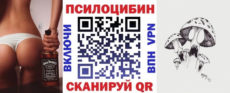 mega ССЫЛКА  Кохма  Псилоцибиновые грибы MAGIC MUSHROOMS  купить наркоту 