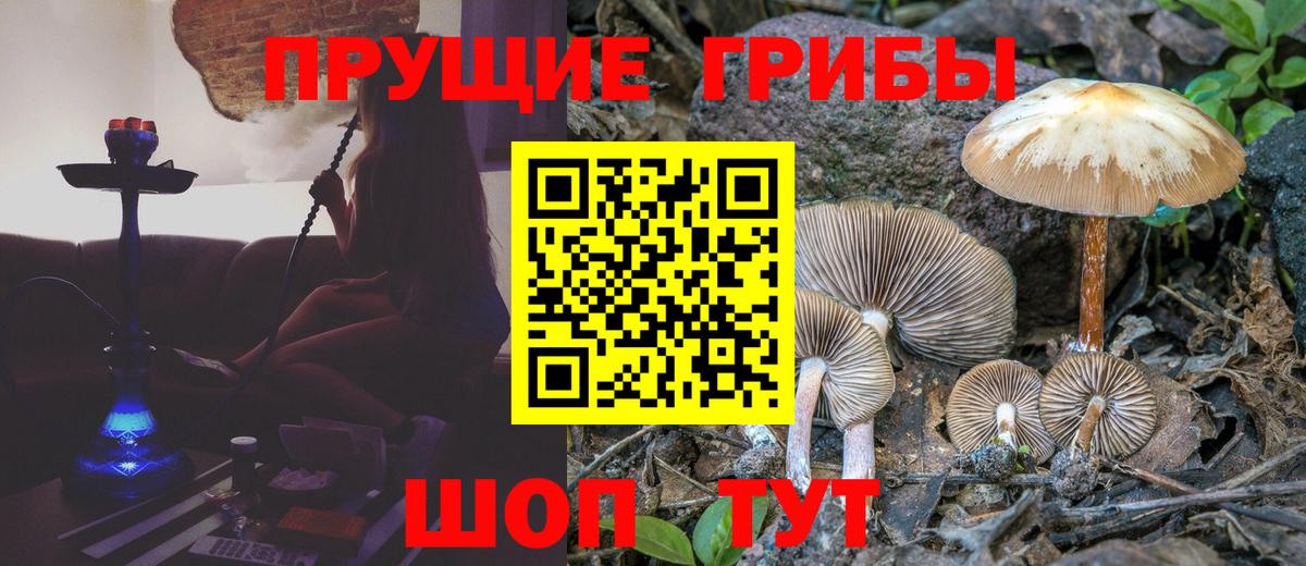 Галлюциногенные грибы прущие грибы  Кохма 