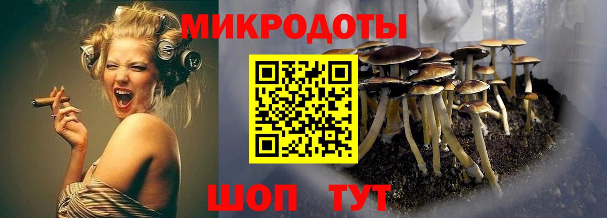 Галлюциногенные грибы Psilocybe  Псилоцибиновые грибы ЛСД  где купить наркоту  Кохма  Вход с VPN 