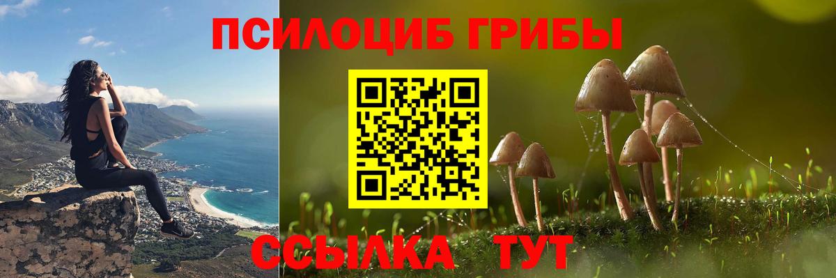 Галлюциногенные грибы Magic Shrooms Кохма