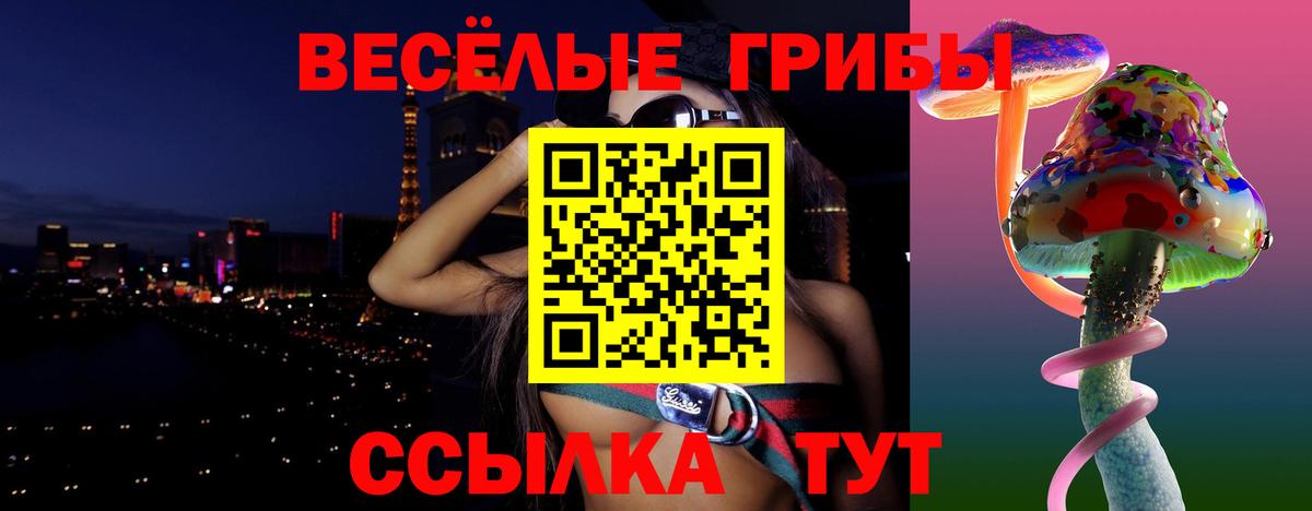 Псилоцибиновые грибы Psilocybe Кохма