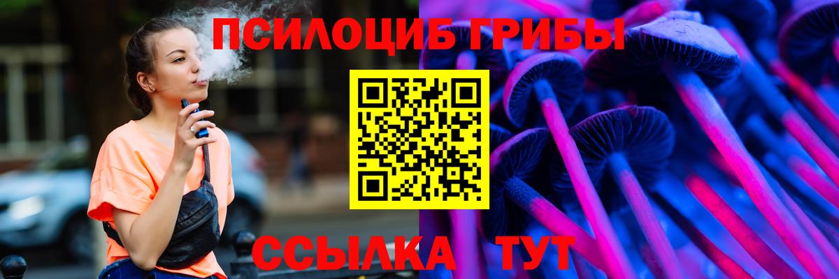 Псилоцибиновые грибы Кохма